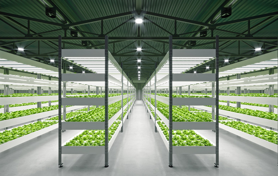 IM体育·(中国区)官方网站 -APP下载